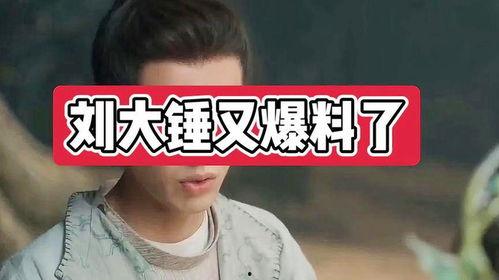 八卦爆料刘大锤视频全集,刘大锤视频全集深度解析 第1张 八卦爆料刘大锤视频全集,刘大锤视频全集深度解析 第1张